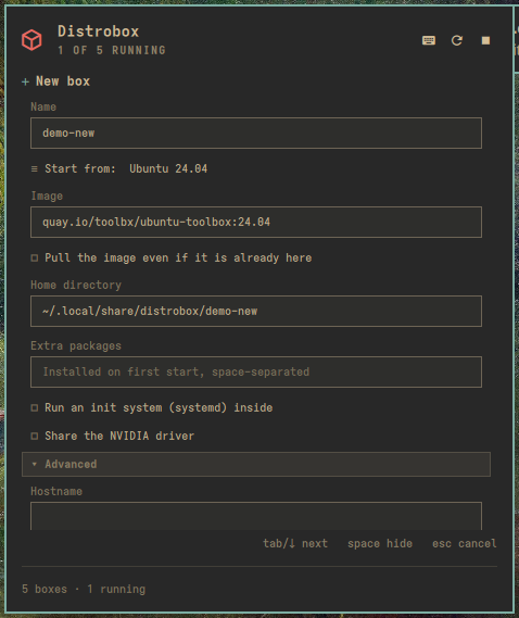 The Advanced section of the form