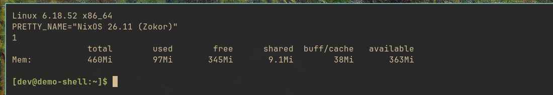 A terminal attached to the demo-shell VM's console, showing NixOS 26.11, one core and 460 MiB of memory
