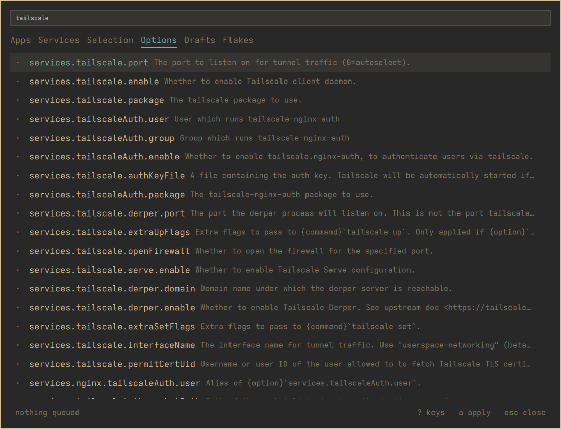 The Options tab searched for tailscale: services.tailscale options, each with its description
