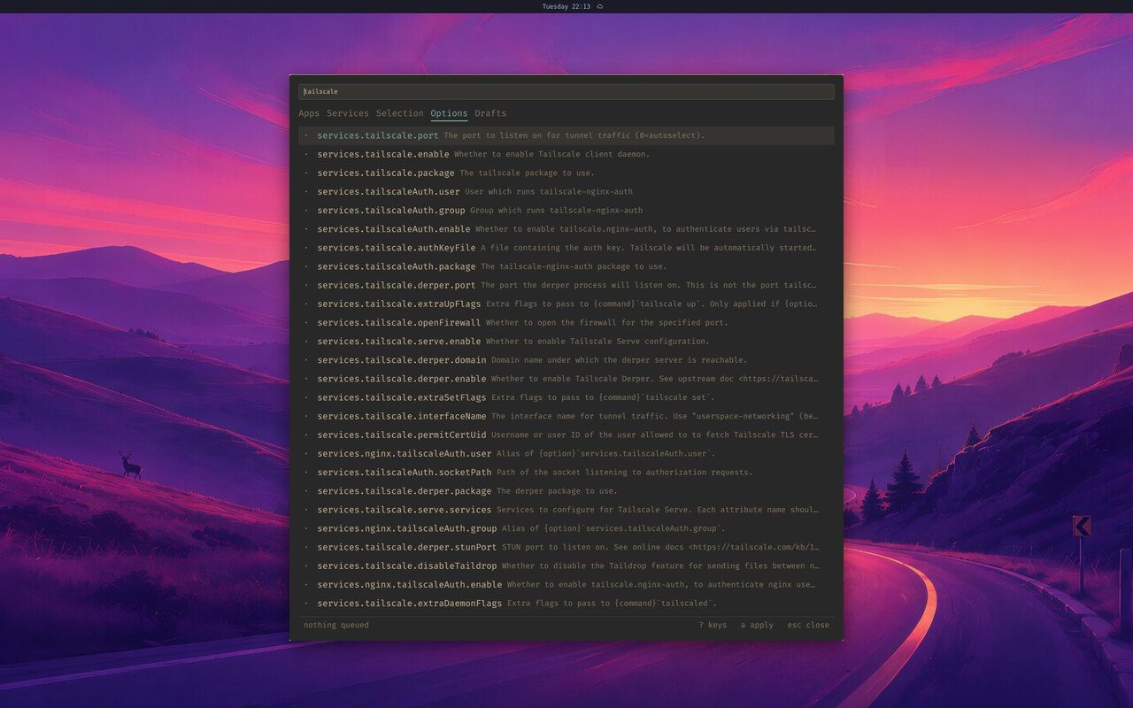 Searching NixOS options, then setting one through a form
