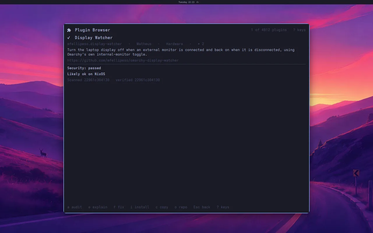 Display Watcher's details: security passed, and likely ok on NixOS